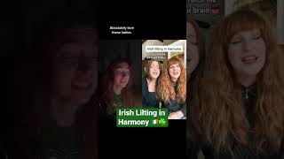 Irish lilting in harmony ft Absolute Lilth [upl. by Skoorb]