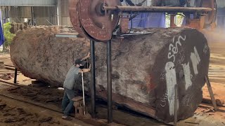 Amazing Woodworking Factory  Extreme Wood Cutting Sawmill Machines Cheesy Wood Giant 1000 Year Old [upl. by Ecylla]