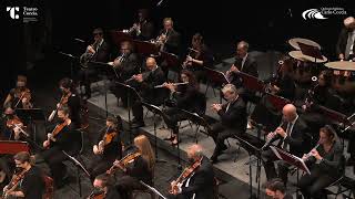 P I Cajkovskij Fifth Symphony in E minor op 64  First movement [upl. by Huebner]