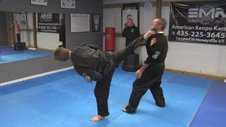 Kenpo Karate Techniques AKKI [upl. by Tirb]