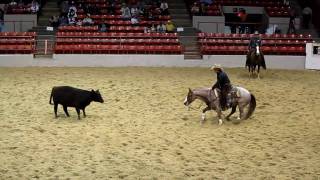 Houston Rodeo Professional Cutting Horse Competition [upl. by Clemmy454]