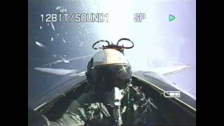 F14 Tomcat Demo in Ft Lauderdale FL [upl. by Brock]