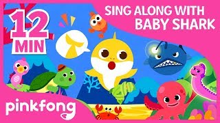 The Shark Dance and more  Sing Along with Baby Shark  Compilation  Pinkfong Songs for Children [upl. by Hebbe]