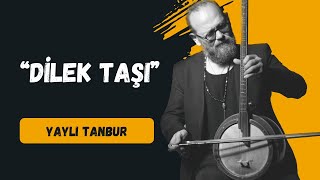 Dilek Taşı  Yaylı Tanbur  Ömer Göktepeliler [upl. by Imorej]