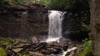 Monongahela National Forest Birthplace of Rivers  Pew amp This American Land [upl. by Artemed]