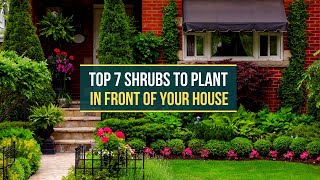 TOP 7 SHRUBS TO PLANT IN FRONT OF YOUR HOUSE ✅ [upl. by Lalib]