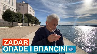 Zadar Orade i Brancini [upl. by Einobe]