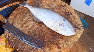 Super LEATHER JACKET FISH FRY  Kilathi meen Fish Cutting Skills Amazing [upl. by Hayouqes]