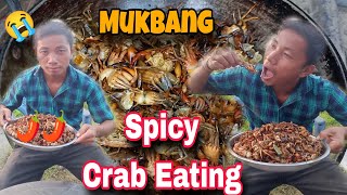 Spicy Crab Eating  Village Style  Hindi Vlog  Dhorom vlogs [upl. by Reade]