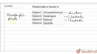 Phylloclade is found in [upl. by Normand636]