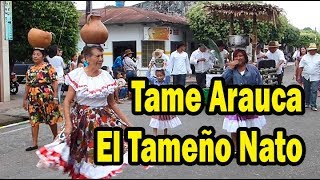 Tame Arauca El Tameño Nato [upl. by Irwin]