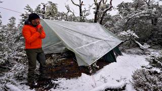 Winter Camping In A Snow Storm With Dog [upl. by Eisnil]