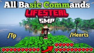 All Basic Commands in Lifesteal SMP  Applemc Server [upl. by Shauna797]