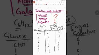 Relationship between Glucose Mannose and Galactose [upl. by Socram]