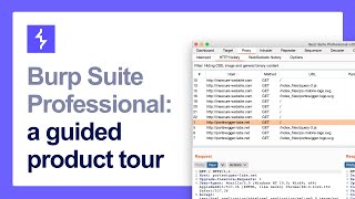 A guide to the Burp Suite user interface [upl. by Noiwtna349]