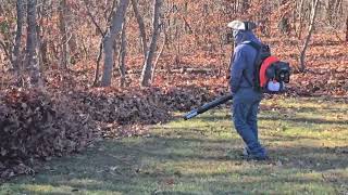 Echo PB755ST Backpack Leaf Blower Review In Use [upl. by Ahtelahs]