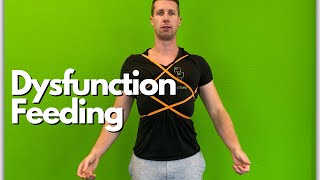 Dysfunction Feeding Thorax und Scapula in Retraktion [upl. by Etnahc509]