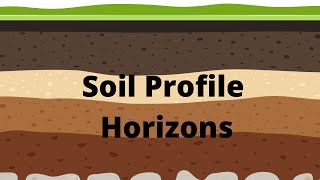 Soil Profile and Soil Horizons [upl. by Koch846]