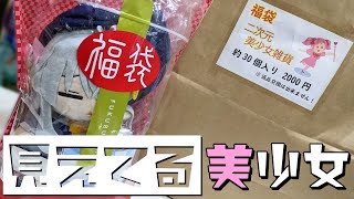 見えてる部分で元が取れてる！コスパが良すぎる勝確二次元美少女福袋開けてみた [upl. by Rona]