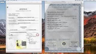 How to Apostille a Puerto Rico Birth Certificate [upl. by Llien588]