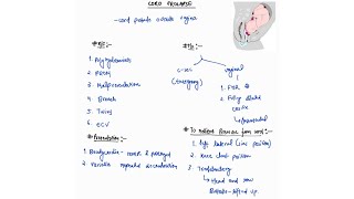 CORD PROLAPSE NOTES  OBSTETRICS  OBGY  ONE PAGE NOTES  4TH PROFF  MBBS [upl. by Hey686]