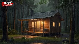 🔴Rain Sounds for Sleeping  Fall Asleep Instantly with Gentle Rain Sounds At Night  ASMR [upl. by Eener]