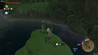 ACTIVATING THE PALMORAE RUINS IN BOTW ZELDA [upl. by Yahsat922]