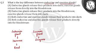 What is the key difference between endocrine and exocrine glands [upl. by Eednahs]