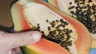 🔴Live Peeling and cutting fruits papaya pomelo and 🍌🍌 [upl. by Lysander]