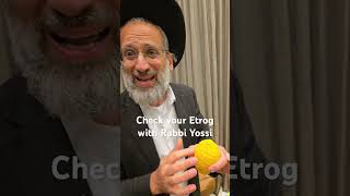 Rav Yossi David explains how to check an Etrog [upl. by Ylirama]