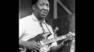 Muddy Waters  I Bes Troubled [upl. by Carl]