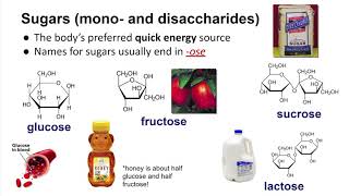 Biological Molecules Carbohydrates amp Lipids [upl. by Benedicto111]