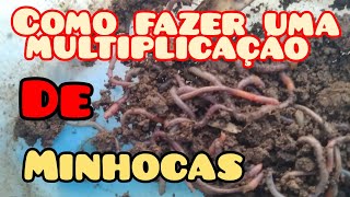 Como fazer Um minhocario multiplicar as minhocas pescaria [upl. by Birecree]