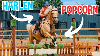 HARLEN AND POPCORN A FUTURE SHOWJUMPER [upl. by Puttergill]