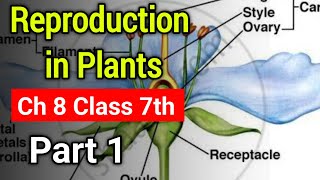 Reproduction in Plants Chapter 8 Class 7th  NCERT Book Science Ch 8 Class 7th Explanation Part 1 [upl. by Axel669]