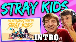 An Introduction To Stray Kids REACTION [upl. by Eetnod767]