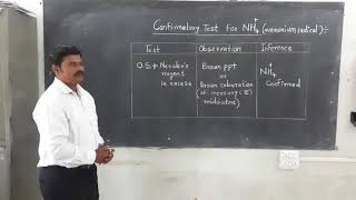 Confirmatory test for NH4 ammonium basic radical [upl. by Stafford901]