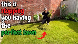 Its time to SCARIFY and VERTICUT your lawn  Autumn Lawn Tips [upl. by Elleinnad]