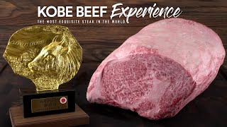 Cooking real A5 KOBE BEEF Wagyu from Japan Its Insane [upl. by Clemmie]