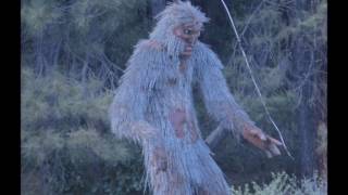 Two Bigfoot Sightings During the Same Month Bald Hills Rd California [upl. by Aiz]