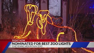 CMZoos Electric Safari nominated for best Zoo Lights [upl. by Qifar614]