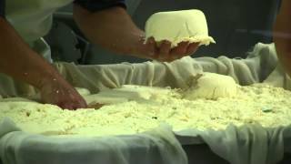 Reblochon Cheese Making  Famous French Alps Cheese [upl. by Terriss]