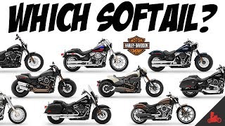 The HarleyDavidson Softail  Which One [upl. by Feingold]