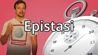 EPISTASI in 60 secondi o meno  Spiegazione [upl. by Hultin]