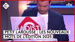 Les nouveaux mots du Larousse mise en examen d’Arnaud Lagardère  Le 55  C à Vous  30042024 [upl. by Eutnoj]