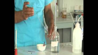 Lab demonstration neutralization reaction [upl. by Gilead205]