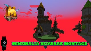 19 BEDWARS MONTAGE [upl. by Spitzer]