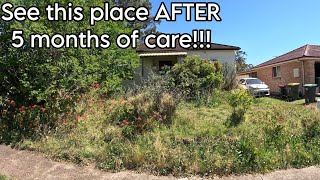 RETURN to THE MOST NEGLECTED YARD EVER 4 VIDEOS in 1 [upl. by Yedorb294]