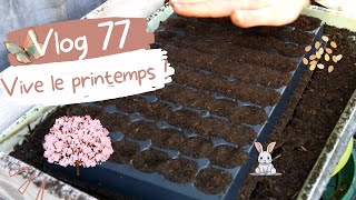 Vlog 77  Nettoyage de printemps et lancement des semis [upl. by Meelas]