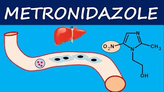 Metronidazole  How it acts  Mechanism side effects and uses [upl. by Eeroc]